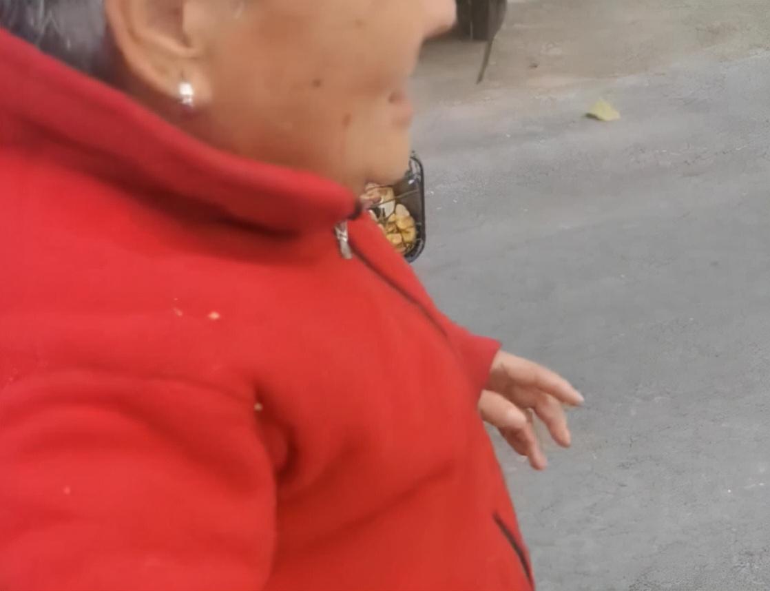 游戏专题 第41页