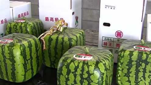 港澳新闻 第6页